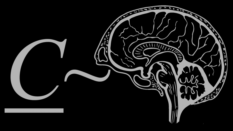 Neuro-cognitive modeling of human EEG and behaviour during decision-making