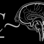 Mathematical Cognitive Neuroscience Lab
